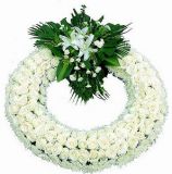 տҵ